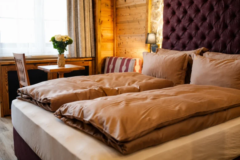 стая – 31 9 1 в Alpin Arena Hotel, Боровец