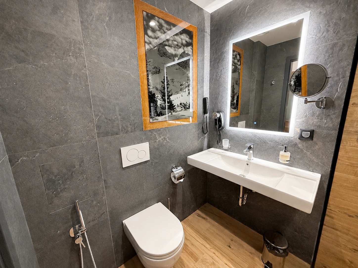 стая – er7 1 1x в Alpin Arena Hotel, Боровец